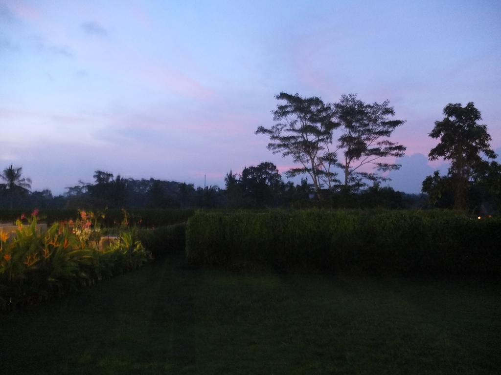 Wana Ubud